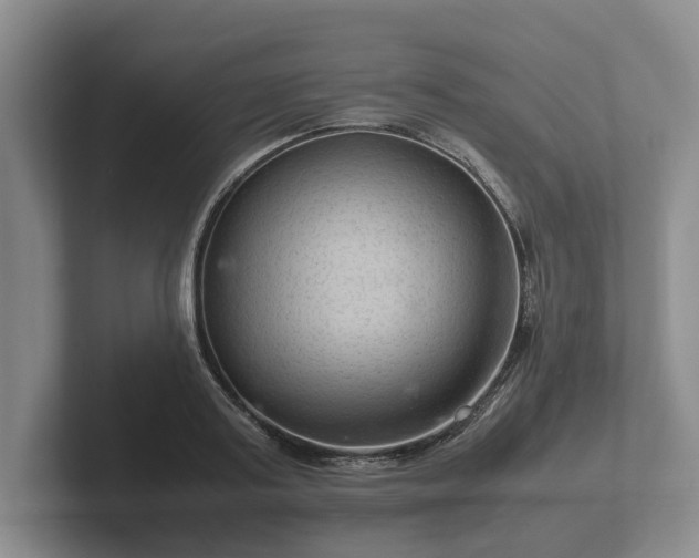 X0000102380795200808081136