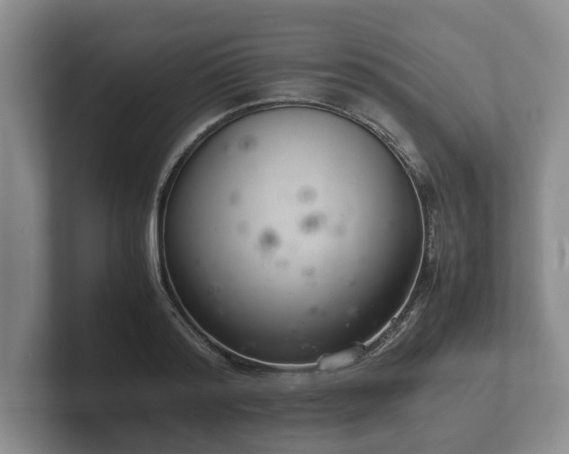 X0000102380796200808081136