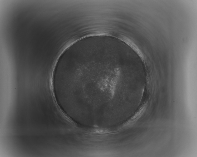 X0000102380797200808081136