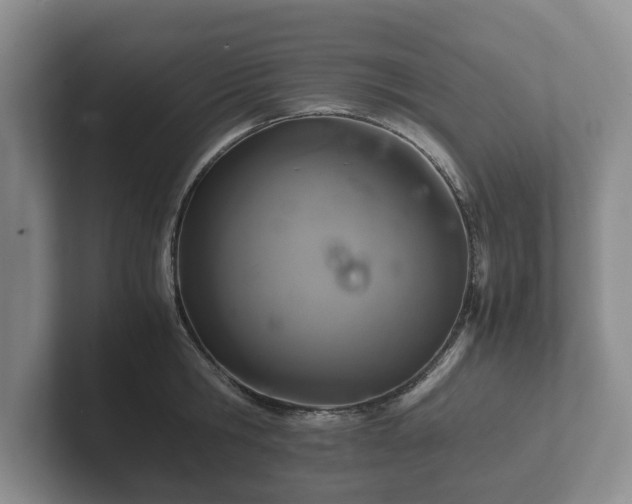 X0000102380806200808081136