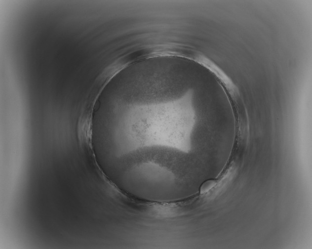 X0000102380809200808081136