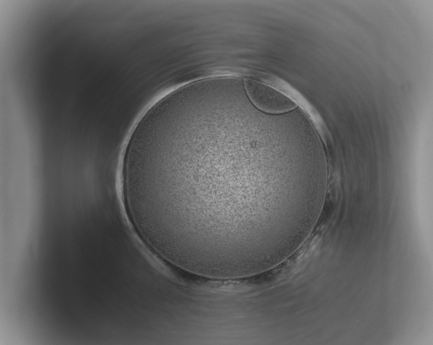 X0000102380811200808081136