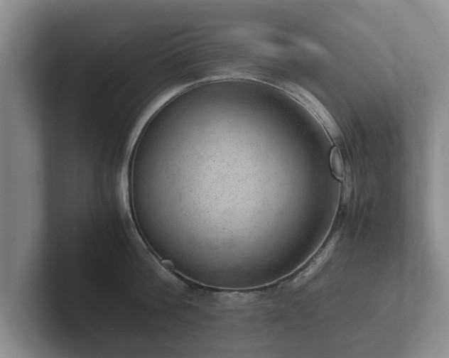 X0000102380812200808081136