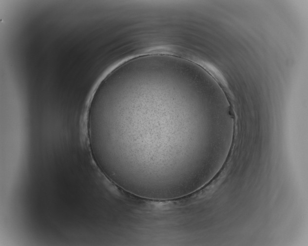 X0000102380816200808081136