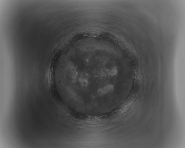 X0000102380818200808081135