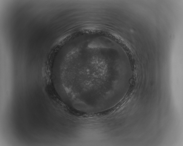 X0000102380822200808081135