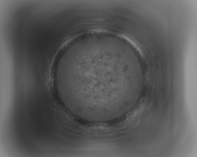 X0000102380823200808081135
