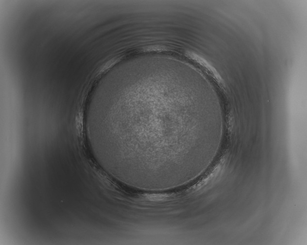 X0000102380825200808081135