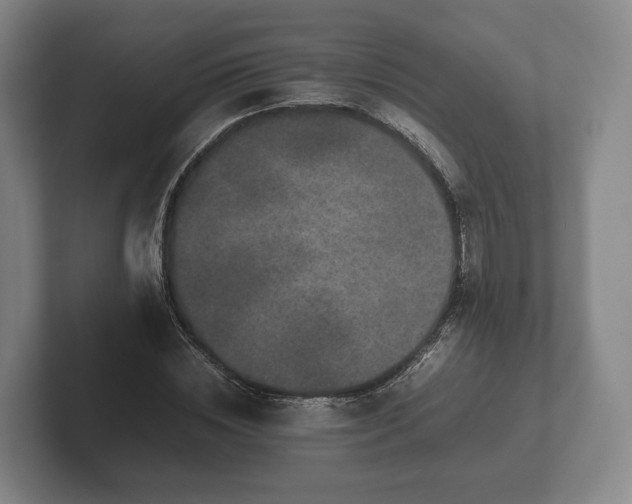 X0000102380828200808081136