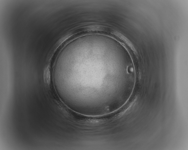 X0000102380829200808081136