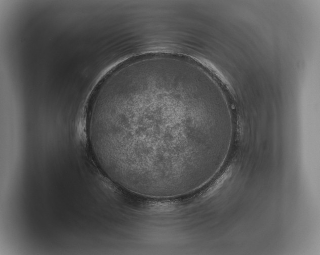 X0000102380830200808081136