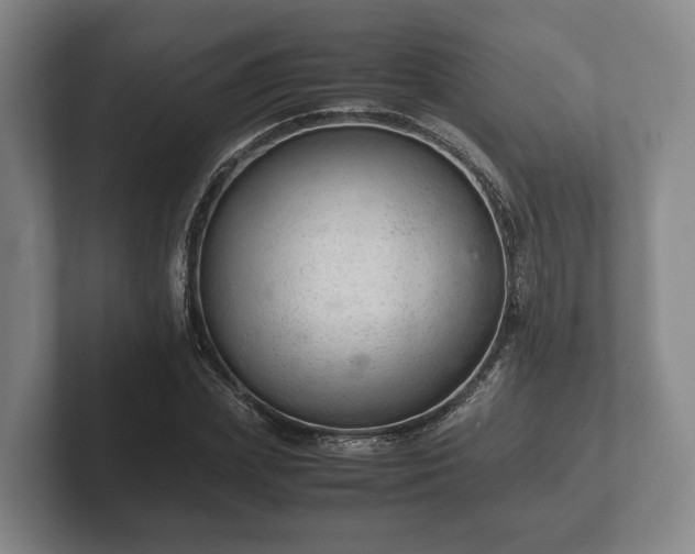 X0000102380831200808081136