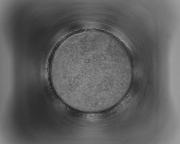 X0000102380832200808081136