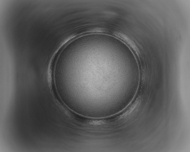 X0000102380835200808081136