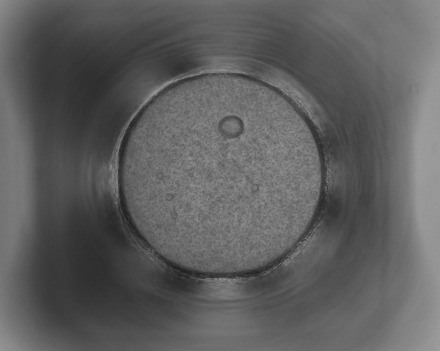 X0000102380836200808081136