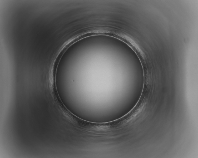 X0000102380837200808081136