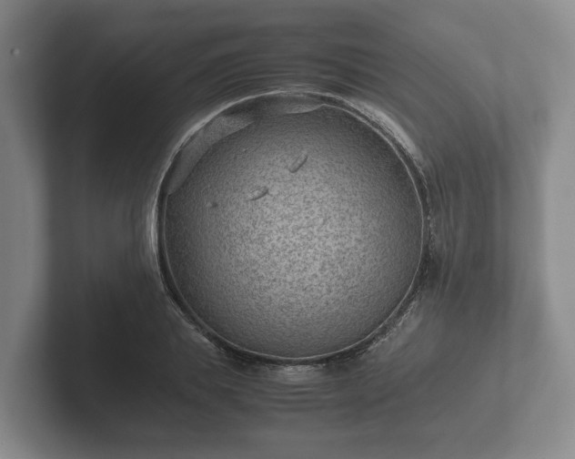 X0000102380839200808081136