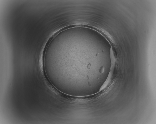 X0000102380840200808081136