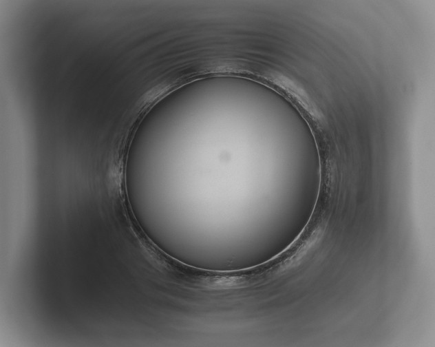 X0000102380841200808081136