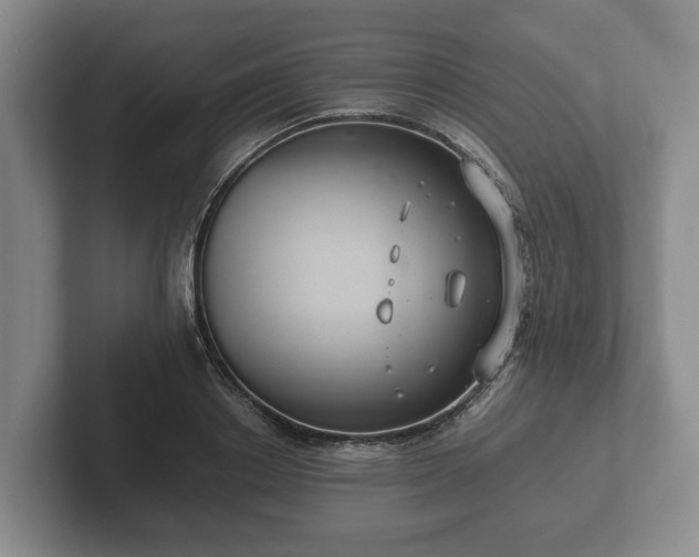 X0000102380842200808081136