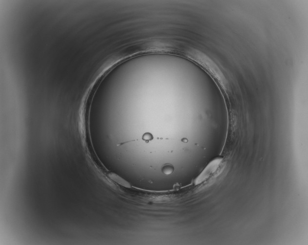 X0000102380843200808081136