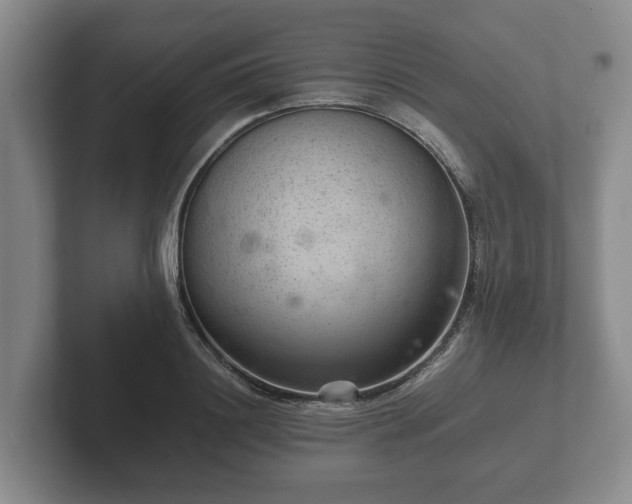 X0000102380844200808081136