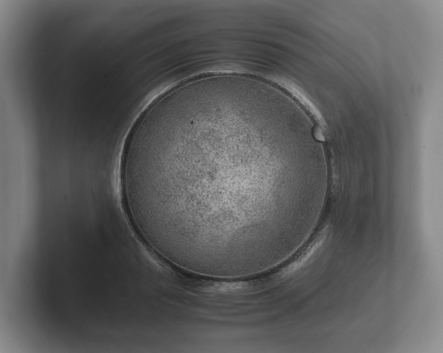 X0000102380845200808081136