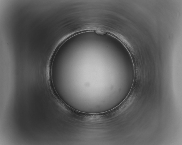 X0000102380846200808081136