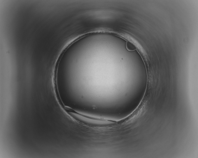 X0000102380847200808081136