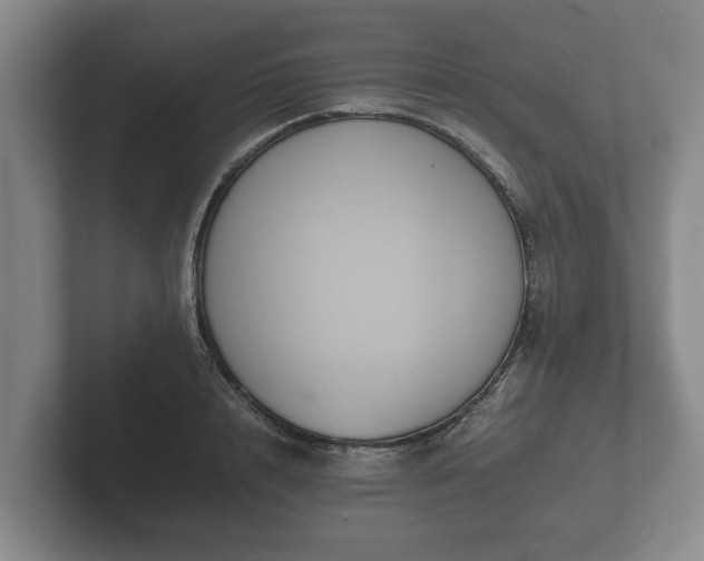 X0000102380848200808081136