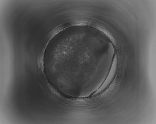 X0000102380850200808081136