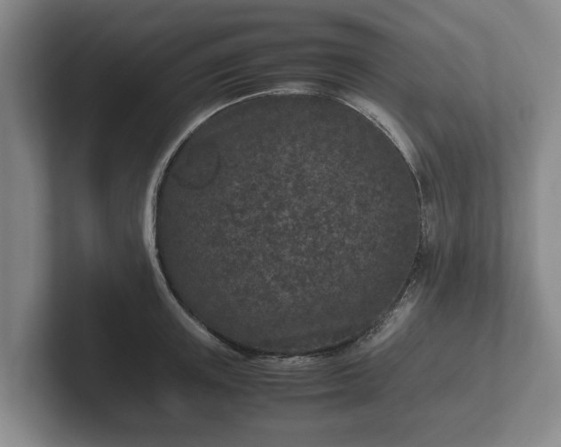 X0000102380851200808081136