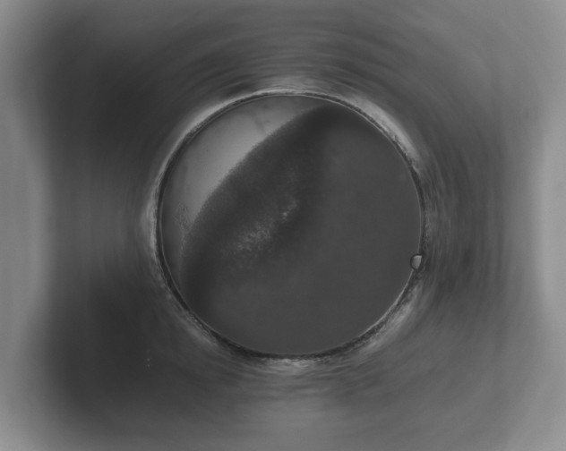 X0000102380854200808081136