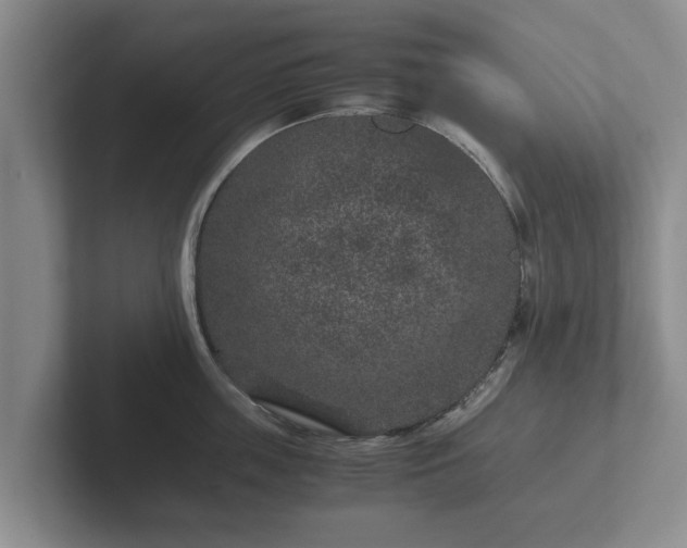 X0000102380859200808081136