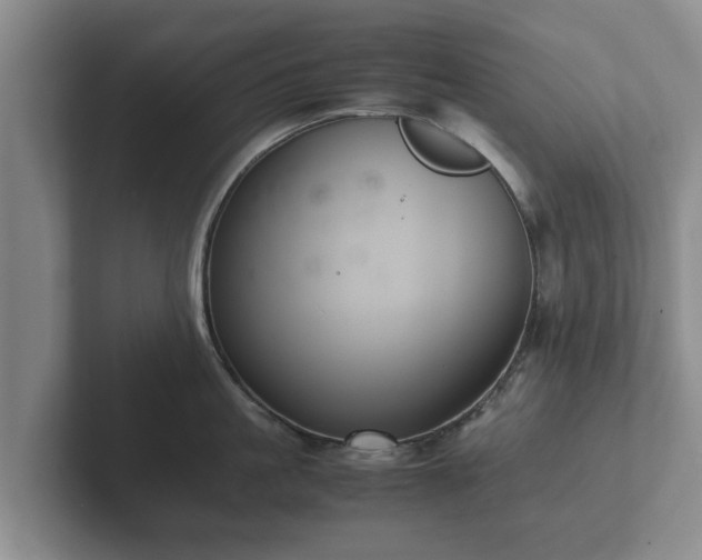 X0000102380861200808081136