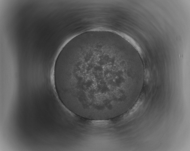 X0000102380863200808081136