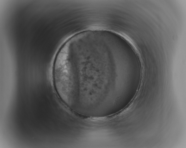 X0000102380864200808081136