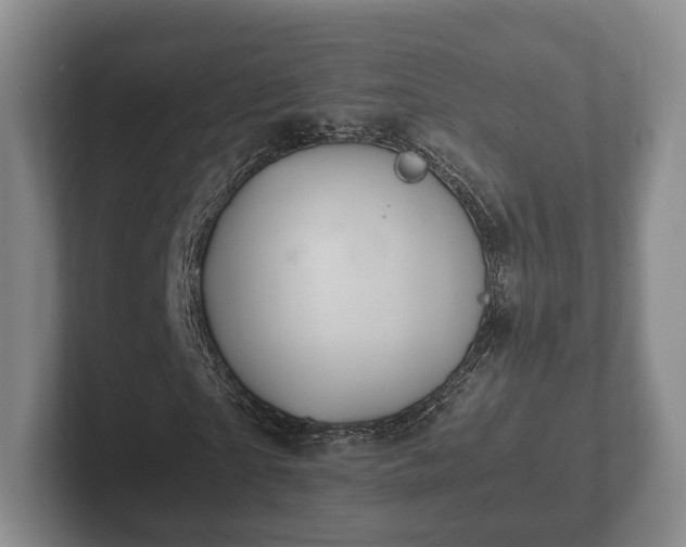 X0000102380865200808081135