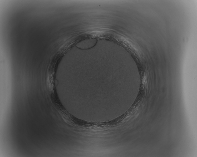 X0000102380868200808081135