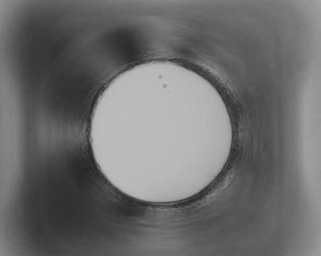 X0000102380873200808081135