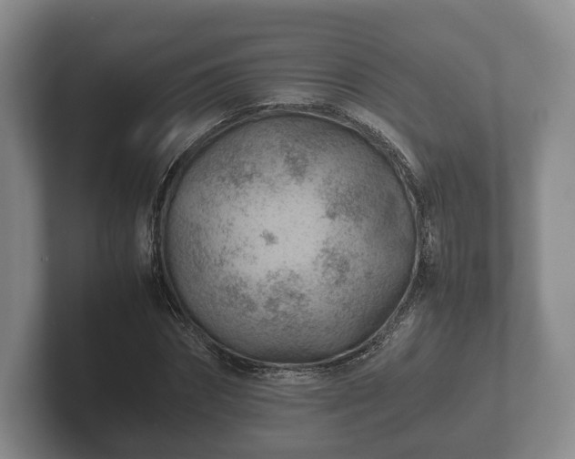 X0000102380874200808081135