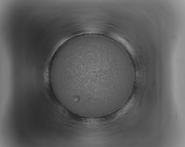 X0000102380875200808081135
