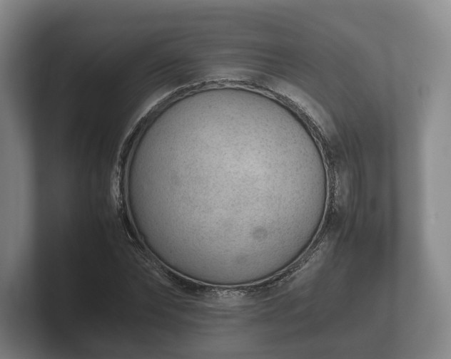 X0000102380878200808081135
