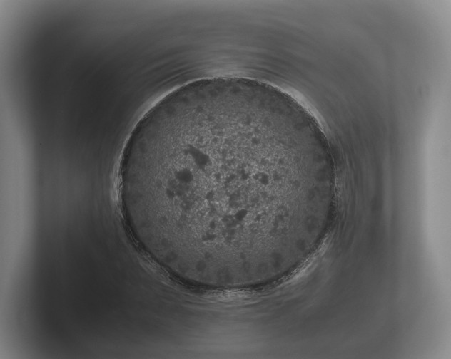 X0000102380879200808081135