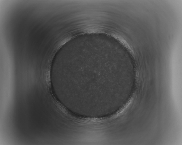 X0000102380881200808081135