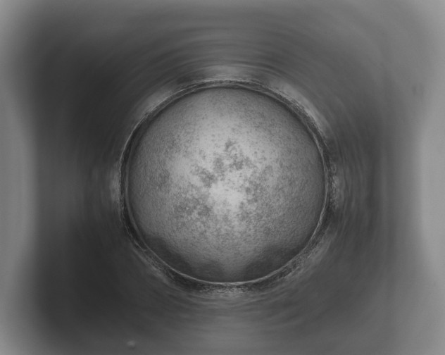 X0000102380882200808081135