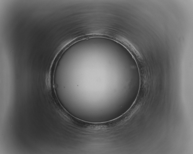 X0000102380884200808081135