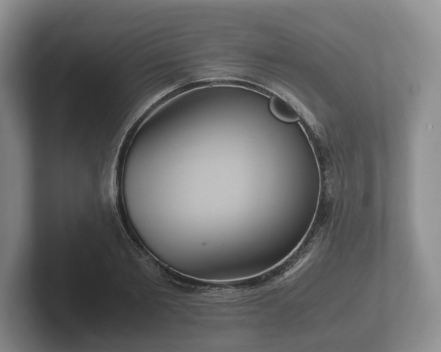 X0000102380885200808081135