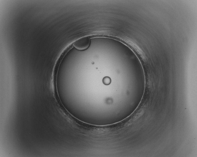 X0000102380888200808081135