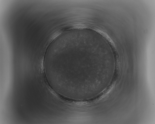 X0000102380889200808081135